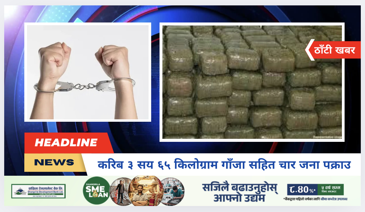 करिब ३ सय ६५ किलोग्राम गाँजा सहित चार जना पक्राउ