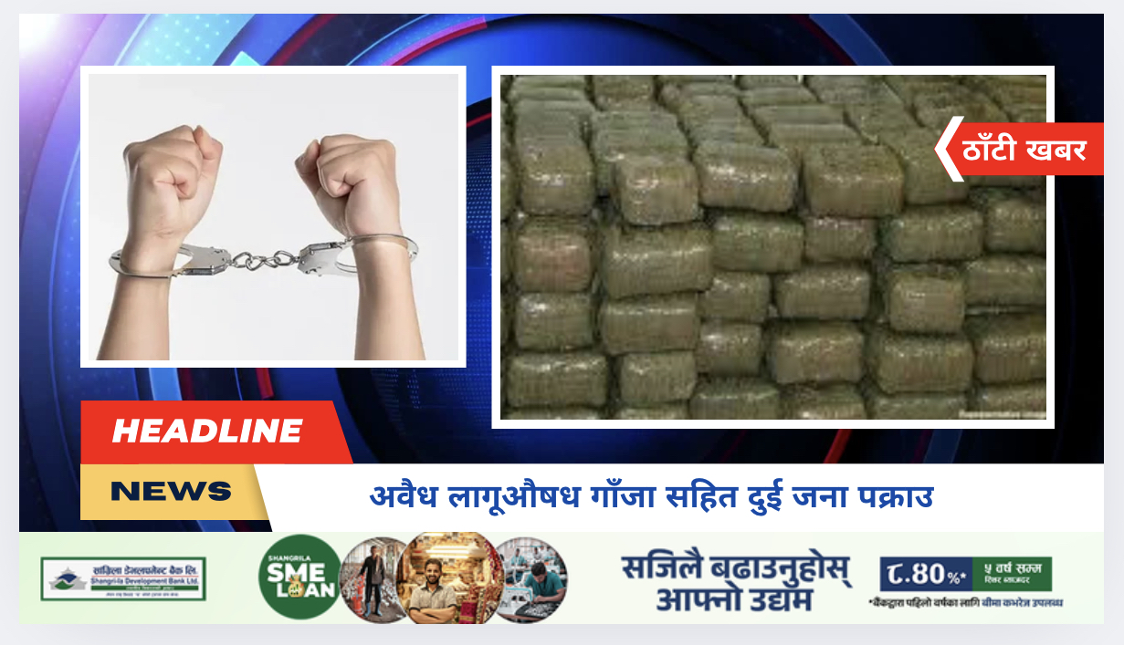 अवैध लागूऔषध गाँजा सहित दुई जना पक्राउ
