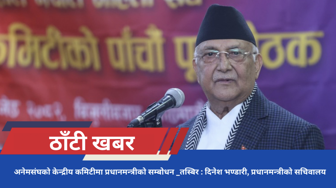 अनेमसंघको केन्द्रीय कमिटीमा प्रधानमन्त्रीको सम्बोधन :