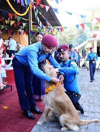 🐾 प्रहरी कुकुरको राजसी सम्मान: महाराजगञ्जमा ‘घुँघ्रु’ र ‘टाइगर’को तिहार, पुष्पवर्षादेखि पुरस्कारसम्म! 🐾