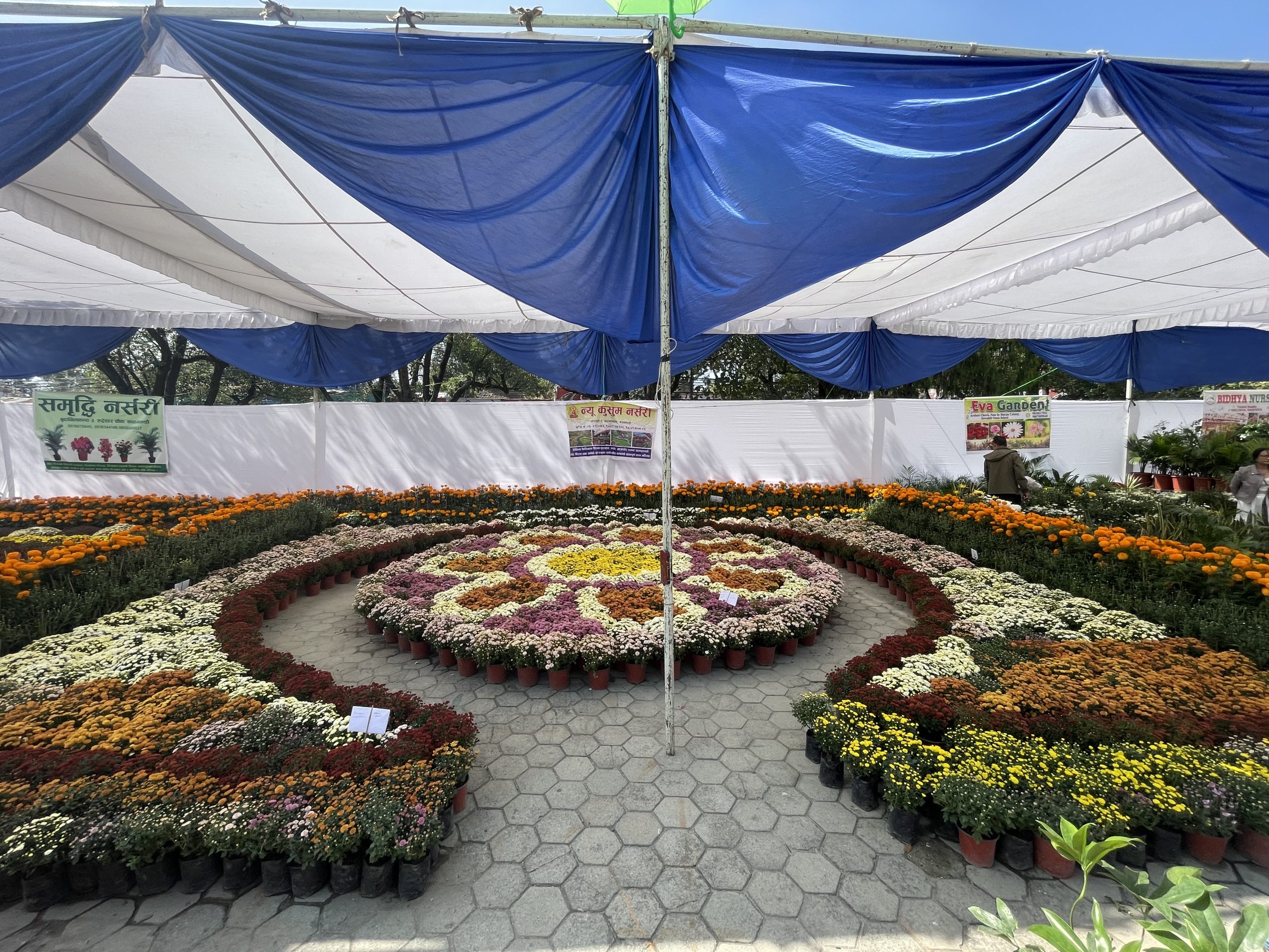 “तिहार ‘फ्लोरा एक्स्पो’ सकियो: पाँच दिनमै १ करोडको कारोबार, ३५ हजार अवलोकनकर्ता!”