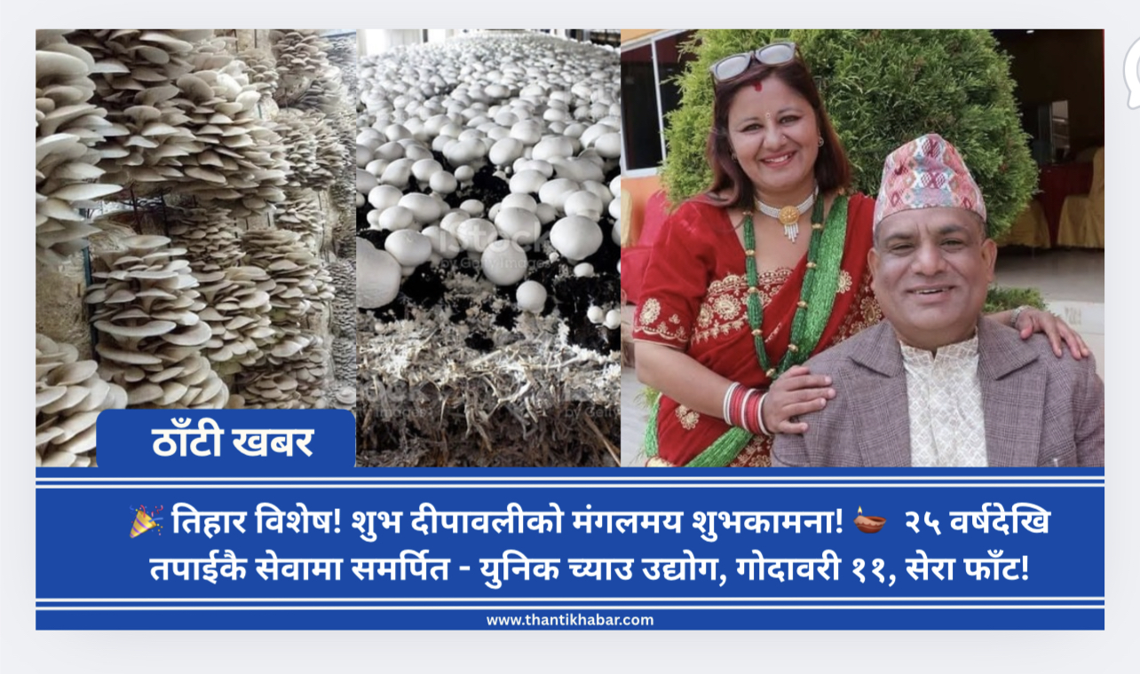 🎉 तिहार विशेष! शुभ दीपावलीको मंगलमय शुभकामना! 🪔  २५ वर्षदेखि तपाईकै सेवामा समर्पित – युनिक च्याउ उद्योग, गोदावरी ११, सेरा फाँट !